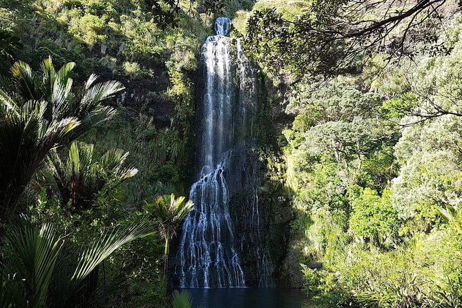 Private Tour: Auckland City and Countryside Tour - Is $277.40 per person a fair price?