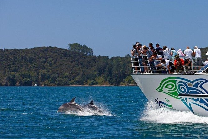 Private Tour: Bay of Islands Day Trip from Auckland - What this private Auckland tour is really offering