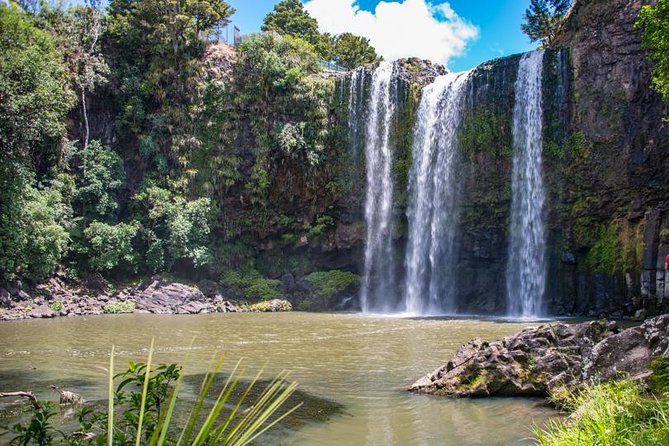 Private Tour: Bay of Islands Day Trip from Auckland - Whangarei Falls: a useful half-hour stop