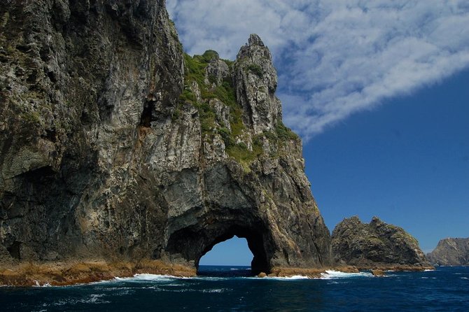 Private Tour: Bay of Islands Day Trip from Auckland - Parry Kauri Park and New Zealand’s giant trees