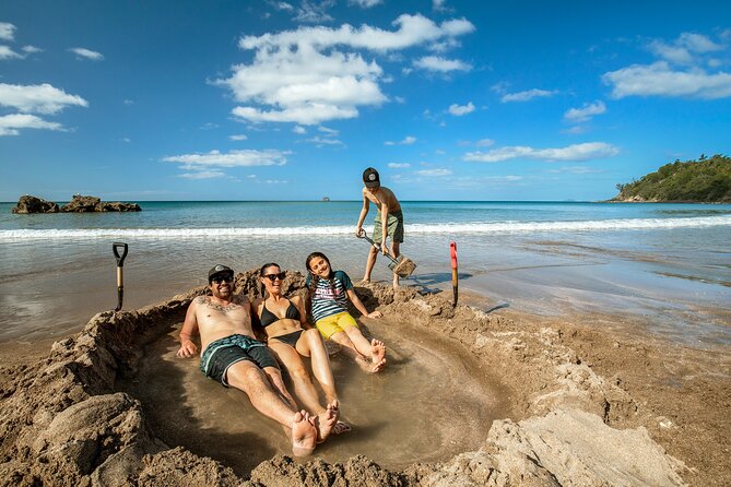 Private Tour - Coromandel Beach, Caves & Forest - Key points at a glance