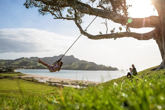 Private Tour - Coromandel Beach, Caves & Forest - Auckland pickup and the early start