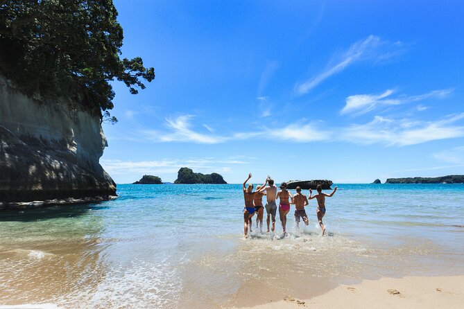 Private Tour - Coromandel Beach, Caves & Forest - Digging a spa pool at Hot Water Beach