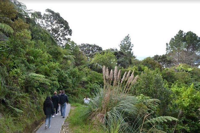 Private Tour - Coromandel Beach, Caves & Forest - Riding the Driving Creek Railway