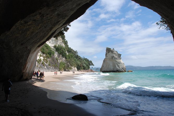 Private Tour - Coromandel Beach, Caves & Forest - Lunch, comfort, and what the price covers