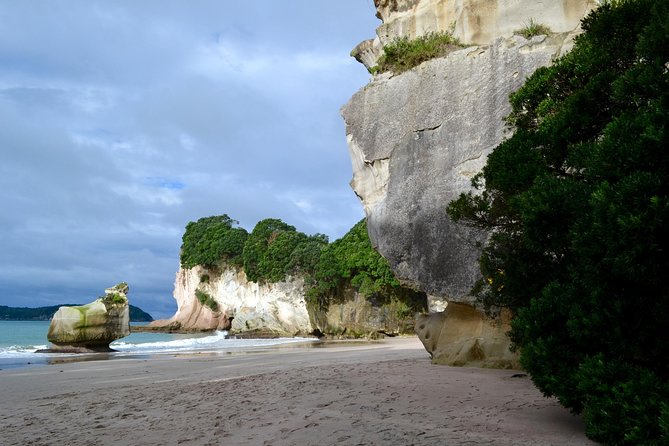 Private Tour - Coromandel Beach, Caves & Forest - Who should book this Coromandel tour?