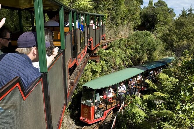 Private Tour - Coromandel Beach, Caves & Forest - Cathedral Cove from the water