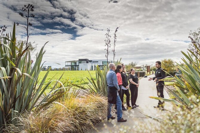 Private tour from Auckland - Waitomo Glowworm Caves, Zealong Tea & Kiwi Bird - Key Things to Know Before You Book