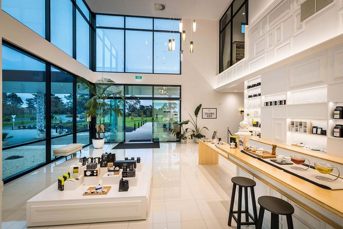 Private tour from Auckland - Waitomo Glowworm Caves, Zealong Tea & Kiwi Bird - Tea and Lunch at Zealong Tea Estate