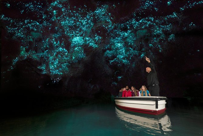 Private tour from Auckland - Waitomo Glowworm Caves, Zealong Tea & Kiwi Bird - Practical Booking Advice