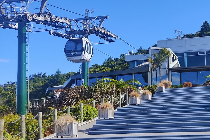 Private Tour: Hobbiton Movie Set, Rotorua Mud Pool & Treewalk - Timing, weather, and cancellation details