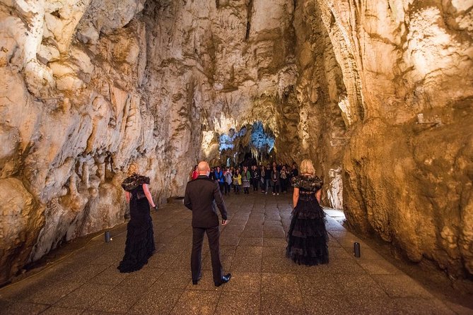 Private Tour: Hobbiton & Waitomo Glowworm Cave Experience - The value of private transport and a local escort