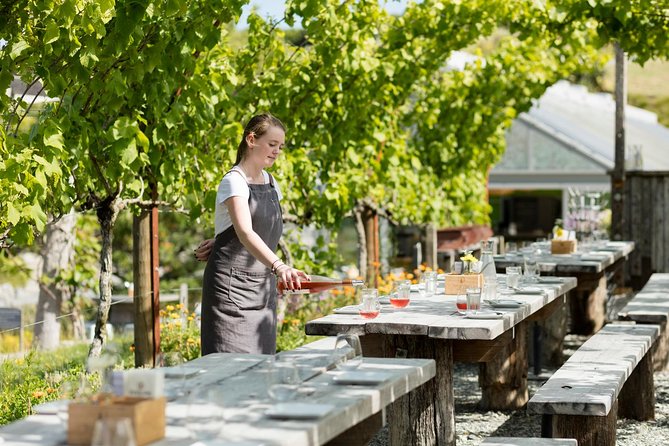 Private Tour - Horse Riding, Wine Tasting and Art Trail - A private Auckland escape with three distinct chapters