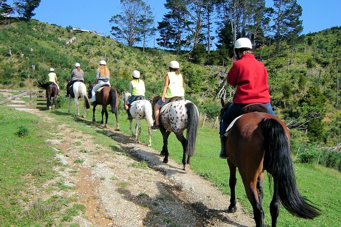 Private Tour - Horse Riding, Wine Tasting and Art Trail - Wine tasting at a traditional New Zealand winery