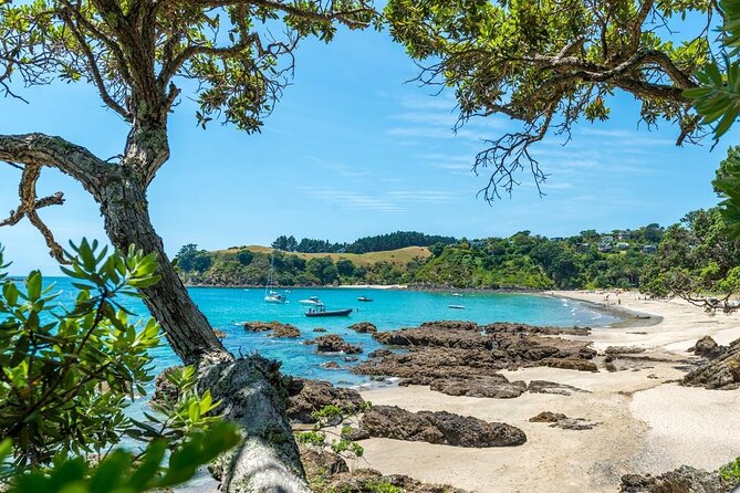 Private Tour - Waiheke Island Luxury Experience - What the $617.47 price really covers
