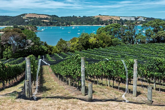 Private Tour - Waiheke Island Luxury Experience - Who will enjoy this Waiheke outing most