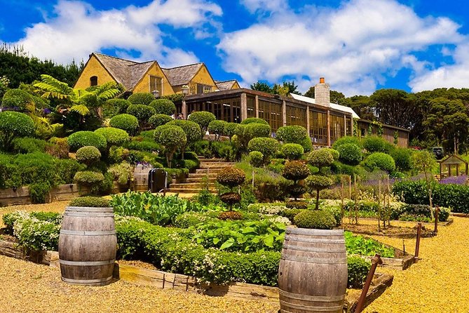 Private Tour - Waiheke Island Luxury Experience - Waiheke’s vineyards and wine tastings