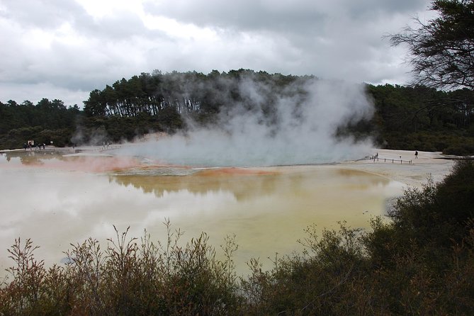 Private Tour Waiotapu Geothermal Shore Excursion up to 8 passengers - Why this private Tauranga shore trip works