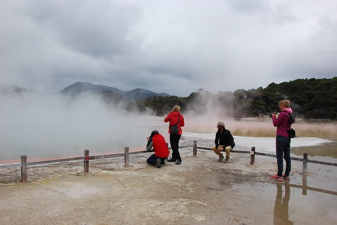 Private Tour Waiotapu Geothermal Shore Excursion up to 8 passengers - Walking beneath the redwoods for 20 minutes