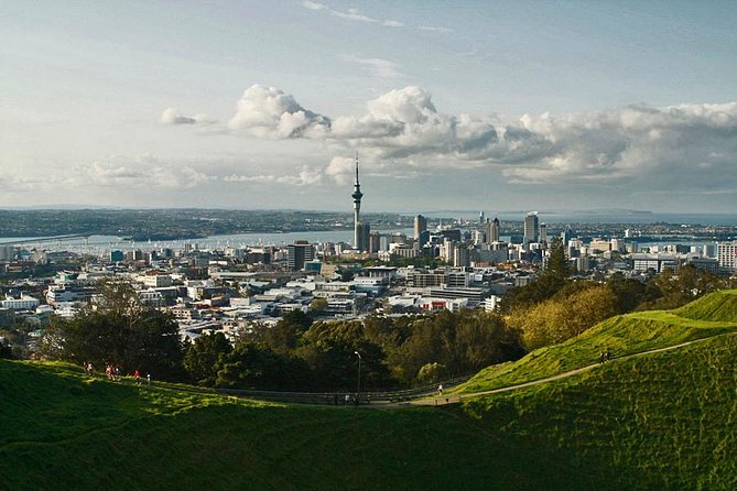 Private Tour: Waitomo Caves Day Trip from Auckland - Reaching the Waitomo Glowworm Caves