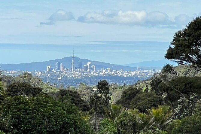 Private Transfer From Auckland International Airport To Auckland City - Price and group value at €62.78