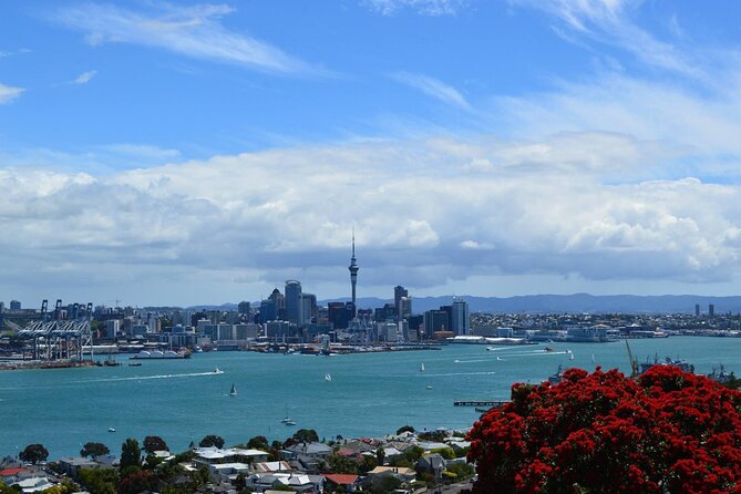 Private Transfer From Auckland International Airport To Auckland City - Where this transfer is less attractive