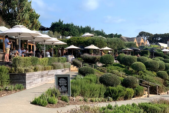 Private Vineyard Bush Walk Tour in Waiheke Island - The First Climb Through Restored Bush