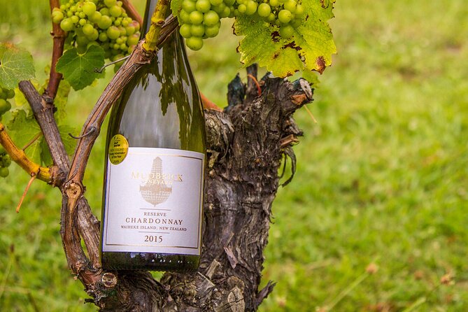 Private Vineyard Bush Walk Tour in Waiheke Island - Choosing Between Mudbrick, Jurassic Ridge, and Cable Bay