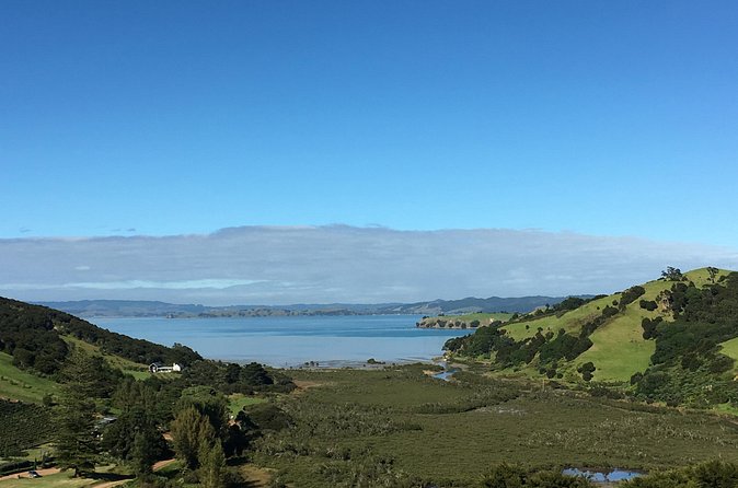 Private Vineyard Bush Walk Tour in Waiheke Island - Why the Private Format Matters