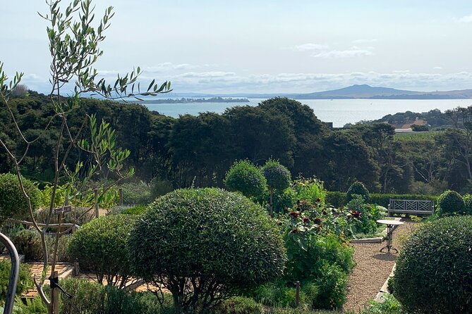 Private Vineyard Bush Walk Tour in Waiheke Island - Is NZ $434.40 Per Person Good Value?