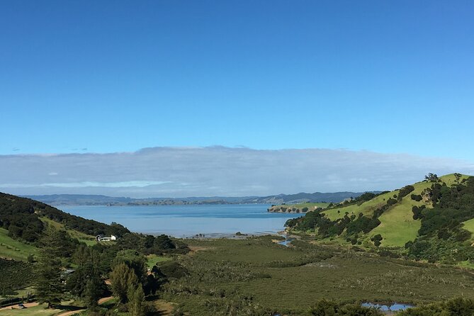 Private Vineyard Bush Walk Tour in Waiheke Island - Weather, Clothing, and Walking Ability
