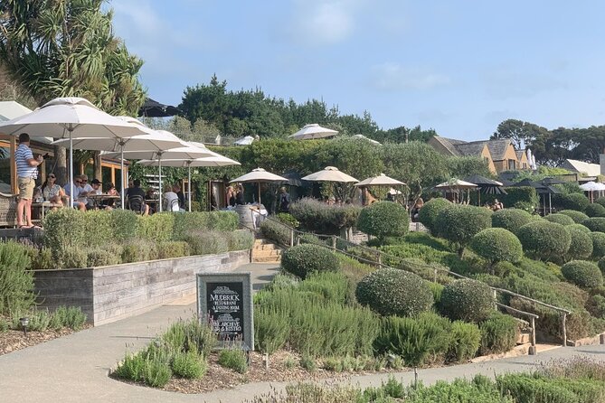 Private Waiheke Food & Wine Tour - Wine tasting at up to three vineyards