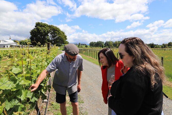 Private Wairarapa Wine Delights Tour from Wellington - Leaving Wellington for the Wairarapa