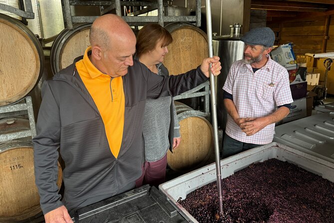 Private Wairarapa Wine Delights Tour from Wellington - Gladstone Vineyard brings a rural cellar-door feel
