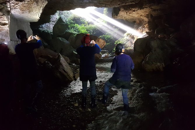Private Waitomo Glowworm Cave Tours - What makes this Waitomo tour different