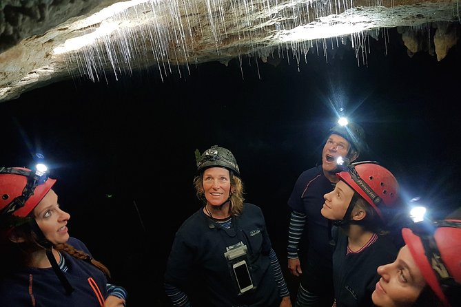 Private Waitomo Glowworm Cave Tours - Why the guide matters so much