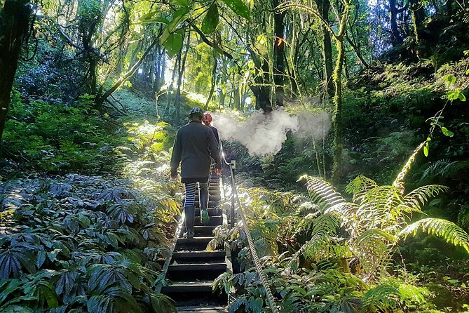 Private Waitomo Glowworm Cave Tours - Is $682.01 a fair price?