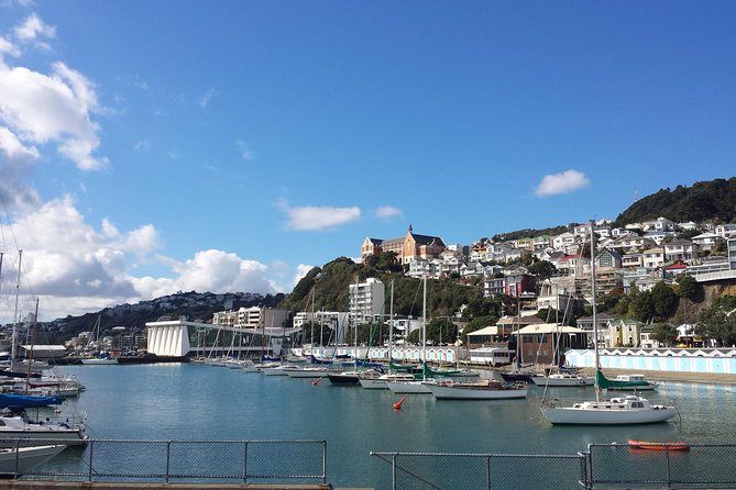 Private Wellington Full Day Sightseeing Tour - Chocolate Fish Café is the day’s relaxed pause