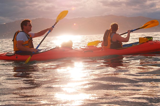 Private Wildlife Kayaking Tour - Kaikoura - Why Kaikoura is such a good place to kayak