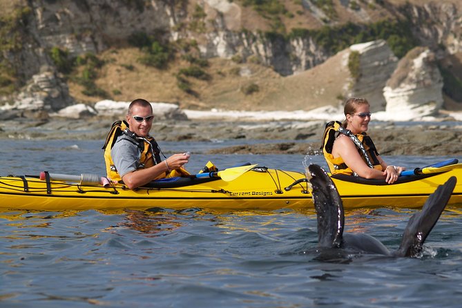 Private Wildlife Kayaking Tour - Kaikoura - What happens from the 17 Killarney Street meeting point