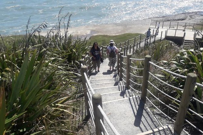 Punakaiki Blow Holes & Pancake Rocks Scenic Tour - Why the Greymouth to Punakaiki drive matters