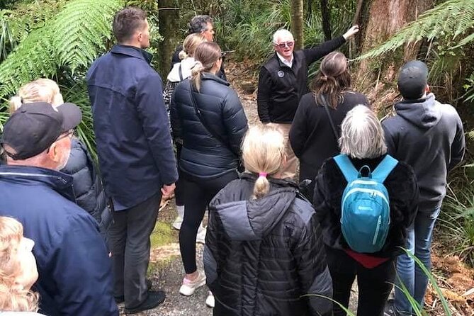 Punakaiki Blow Holes & Pancake Rocks Scenic Tour - A closer look at the walking experience