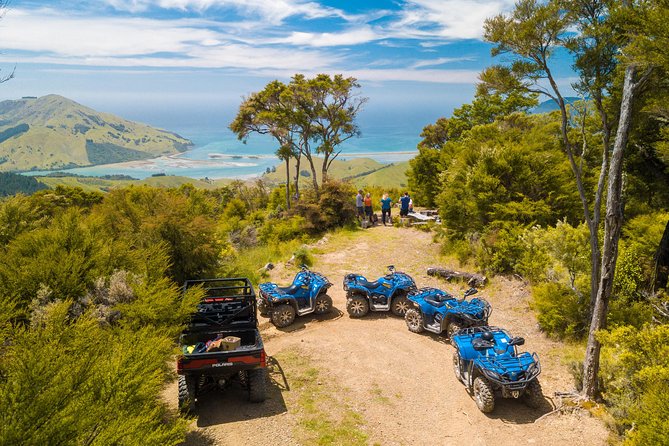 Quad Bike - Bayview Circuit - Key points to know before you book
