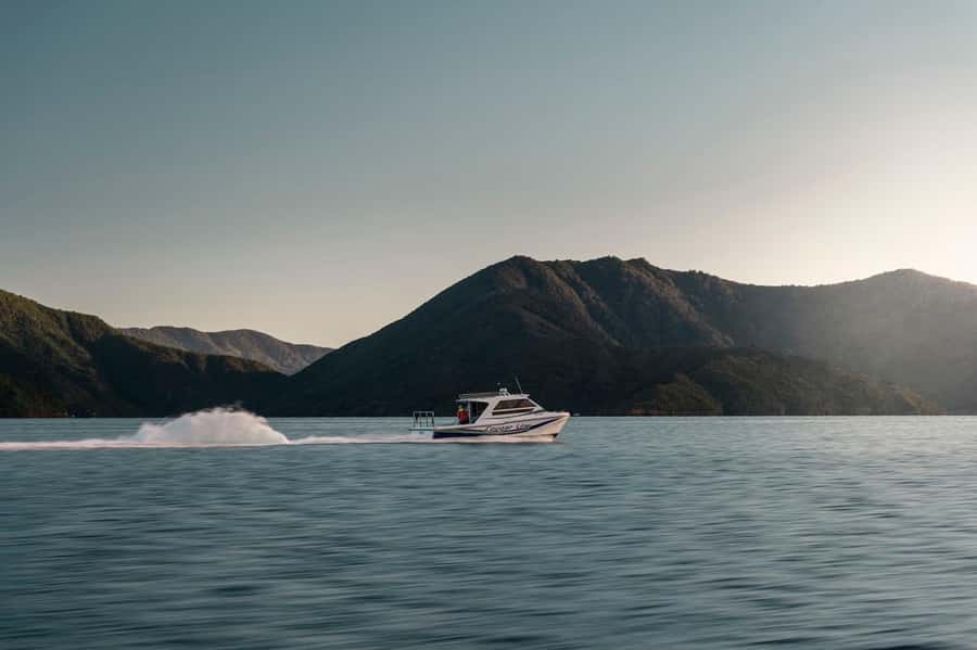 Queen Charlotte Sound Cruise with Lunch - Checking in at the Cougar Line office