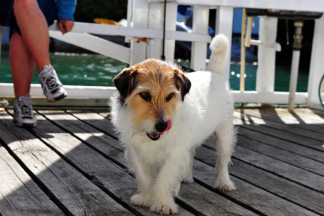 Queen Charlotte Sound Mail Boat Cruise - Wildlife, native plants, and water views