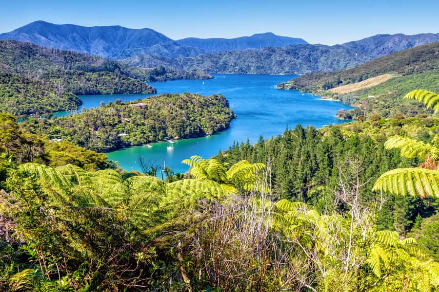 Queen Charlotte Track: Cruise & Self-Guided Hike from Picton - Key points before you book