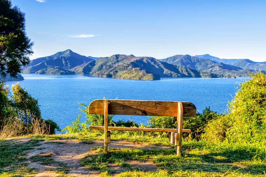 Queen Charlotte Track: Cruise & Self-Guided Hike from Picton - Choosing the 12.7-kilometer Furneaux to Punga Cove walk