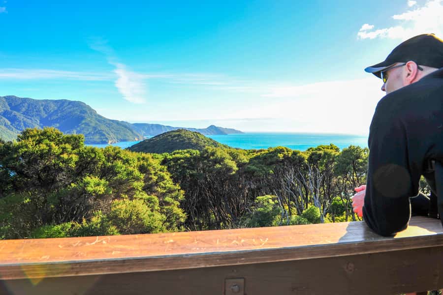 Queen Charlotte Track: Cruise & Self-Guided Hike from Picton - What the Queen Charlotte Track feels like on foot