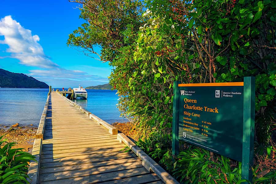 Queen Charlotte Track: Cruise & Self-Guided Hike from Picton - Boat timing and the real meaning of a self-guided day