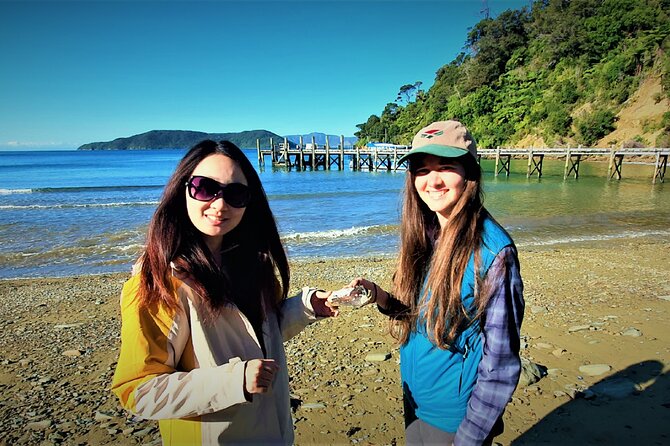 Queen Charlotte Track - Ultimate one Day Walk and Cruise - One hour among rare birds on Motuara Island
